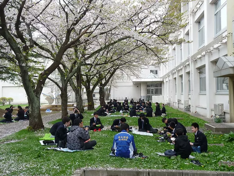 お花見昼食会